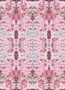Burgandy Rose, 2015 (technique mixte, illustration, numérique)