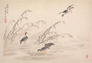 Album de calligraphie et de peintures - Bian Shoumin