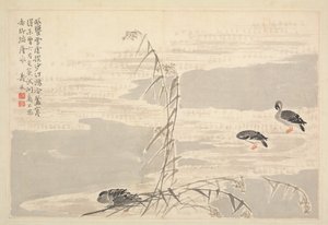 Album de calligraphie et de peintures