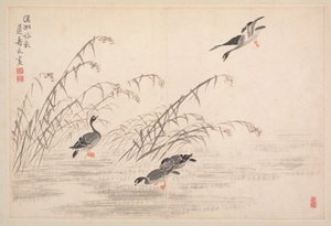 Album de calligraphie et de peintures, 18e siècle - Bian Shoumin
