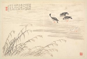 Album de calligraphie et de peintures, 18e siècle - Bian Shoumin