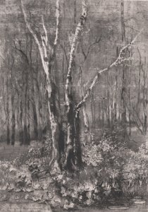 Bois dans le parc près de Monza, 1895