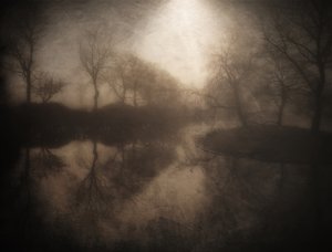 Reflet dans la forêt brumeuse - Bill Eiffert
