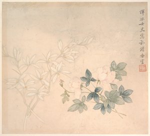 Étude des fleurs