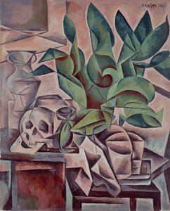 Nature morte montrant un crâne