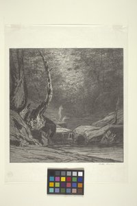 Arbre tordu - Bolton Coit Brown