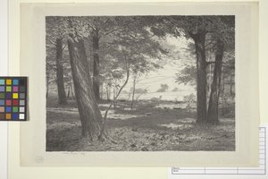 Bord De La Forêt - Bolton Coit Brown