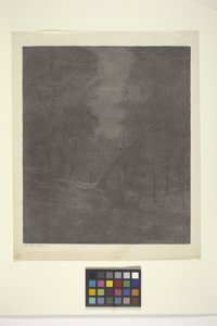 Bois Au Clair De Lune - Bolton Coit Brown