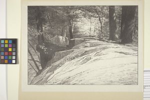 Rochers et arbres - Bolton Coit Brown
