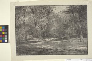 Bois de la Sierra - Bolton Coit Brown