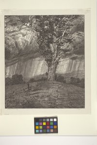 Tempête - Bolton Coit Brown