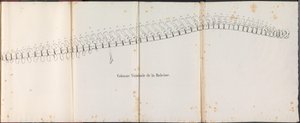 Colonne vertébrale de la baleine, 1827