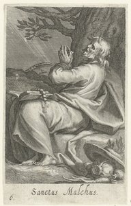 Saint Malchus de Chalcis en ermite (Kluizenaars, Sacra eremvs ascetarvm) - Boëtius Adamsz. Bolswert