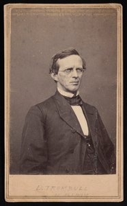 Portrait de Lyman Trumbull 1813-1896, entre 1864 et 1868