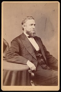 Portrait de Schuyler Colfax 1823-1885, avant 1885 - Brady