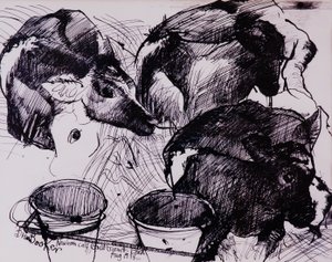Veaux, humides, nouveau-nés, 1978 - Brenda Brin Booker