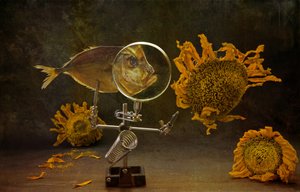  - Brig Barkow
