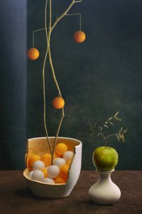  - Brig Barkow
