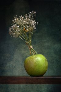  - Brig Barkow