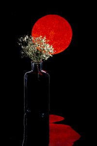 Reflet floral du soleil rouge - Brig Barkow