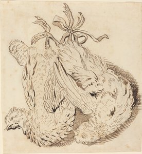 Deux poulets morts