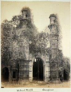 Mahmud Masjid (Nagina Masjid), Champaner, vers 1875 - British Photographer