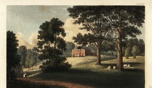 Château d