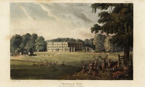 Troupeau de cerfs devant Trentham Hall - British School