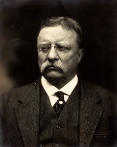 Theodore Roosevelt, c.1915 - Brothers Pach