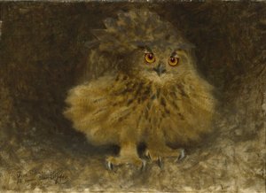 Un hibou grand-duc, 1905
