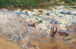 Canards sauvages, 1887 - Bruno Andreas Liljefors