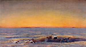 Lever de soleil, 1896 - Bruno Andreas Liljefors