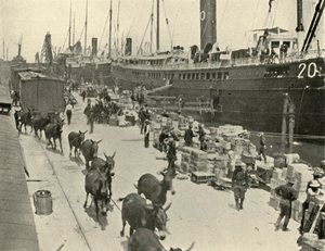 Navires de troupes à Port Tampa, Floride, États-Unis, Guerre hispano-américaine, 10 juin 1898, 1899 - Burr McIntosh