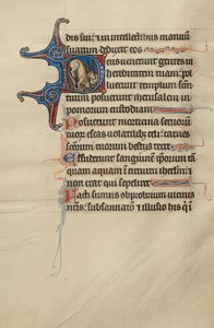 Initiale D : Un lion et des licornes - Bute Master