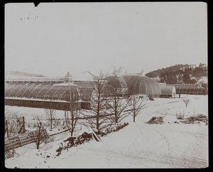 Les serres dans la neige au domaine Helen Gould (ancienne résidence de Jay Gould) à Tarrytown, New York - Byron Company