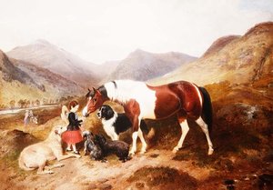 Scène des Highlands