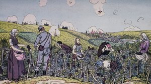 Nos vignerons récoltés sous le feu, la récolte dans la région de Champagne en 1914, Première Guerre mondiale, France, 20e siècle - J.B. and Brown J. Rowbotham