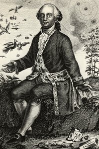 Portrait de Georges-Louis Leclerc de Buffon (1707-1788), naturaliste et mathématicien français, gravure