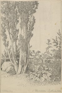 Peupliers et plantes sauvages près de Hannau - Christoffer Wilhelm Eckersberg