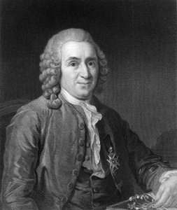 Carolus Linnaeus, naturaliste suédois du 18e siècle, 1836 - C. E. Wagstaff