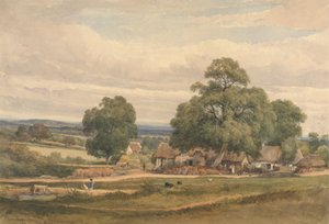Emerey Down près de Lyndhurst, New Forest, Hants - C. John M. Whichelo