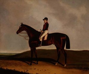 Un cheval de course bai
