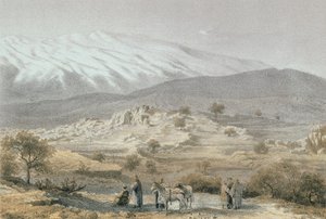 Mont Hermon. Gravure par Schacher - Steinkopk J.F. Editore - C. Schacher