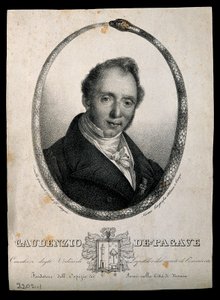 Gaudenzio de Pagave. Lithographie de C. Gandolfi. - Camilla Guiscardi