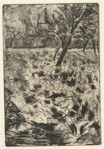 Le champ de navets - Camille Jacob Pissarro