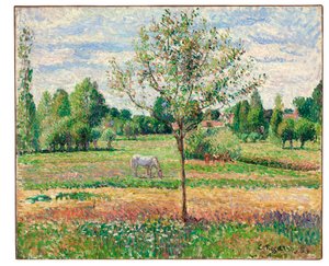 Pré avec cheval gris, Éragny, 1893 - Camille Jacob Pissarro
