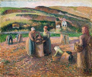 Récolte de pommes de terre - Camille Jacob Pissarro