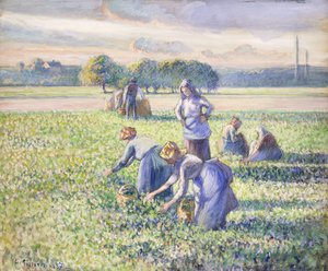 La Récolte des Pois, 1887 - Camille Jacob Pissarro