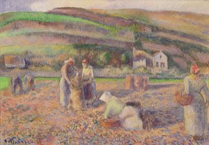 La récolte de pommes de terre, 1886 - Camille Jacob Pissarro