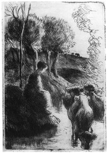 Vachère au bord de l